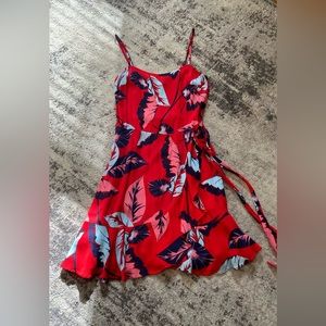 Express Floral Dress